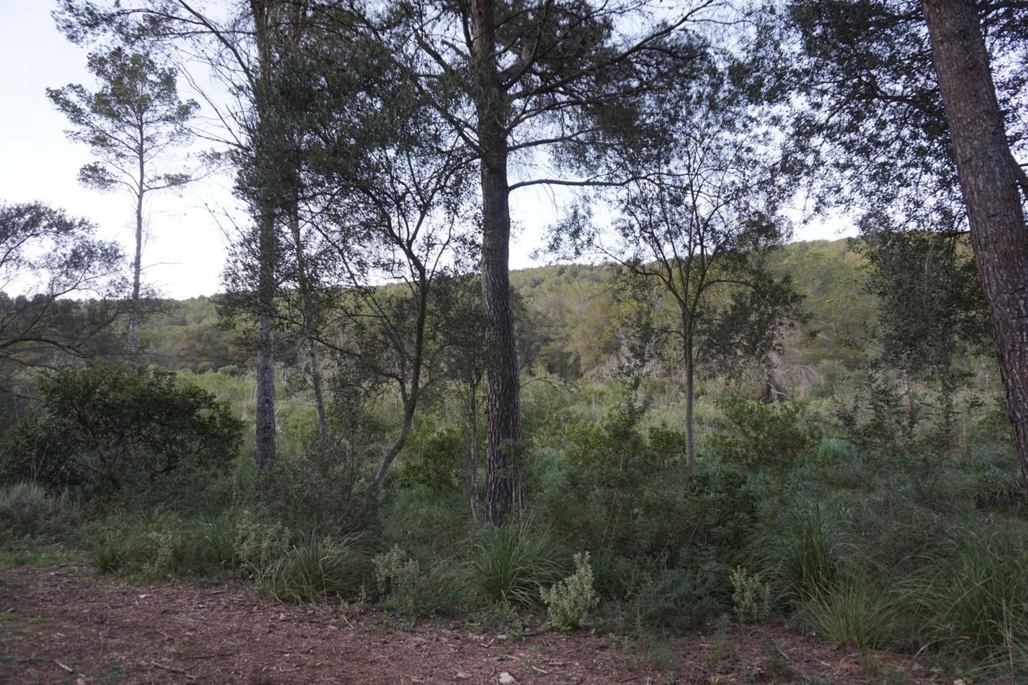 Chalet פונט דה סה קלה מראה חיצוני תמונה